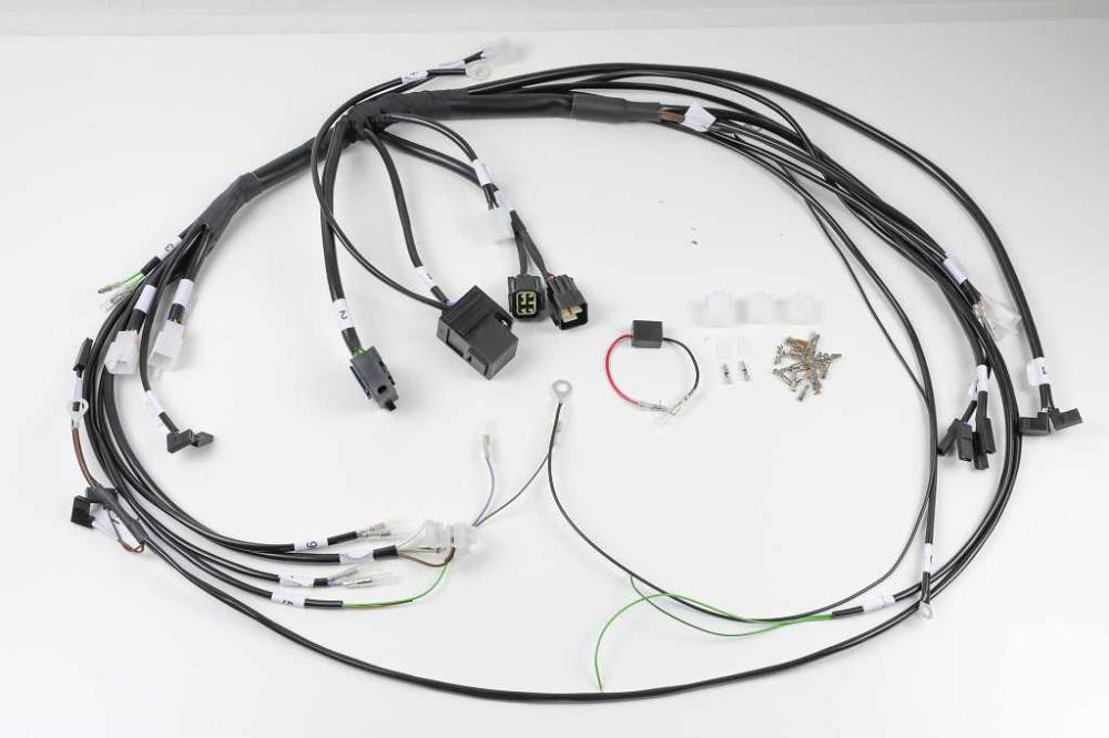 Cablaggio BMW R45 R65 R80 R100 per Acewell 4453