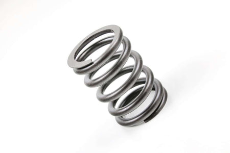 BMW valve spring for all two-valve models