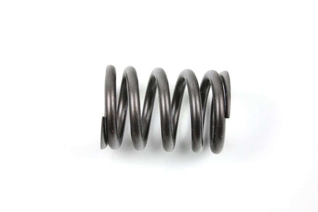 BMW valve spring for all two-valve models