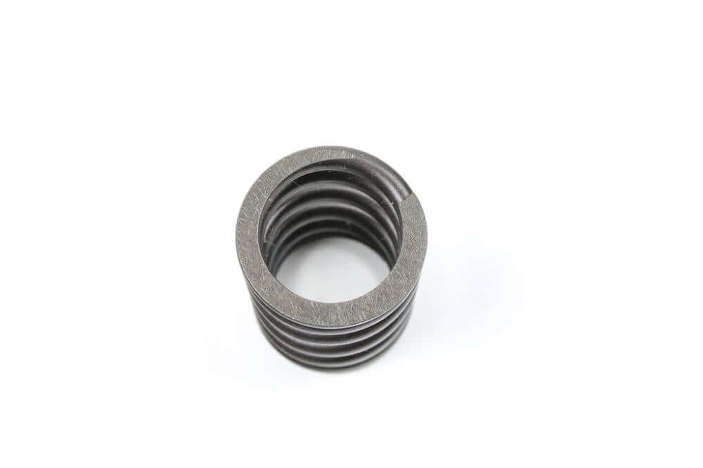 BMW valve spring for all two-valve models